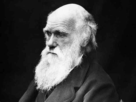 A Origem Das Esp Cies Charles Darwin Baixar Livro Em Pdf