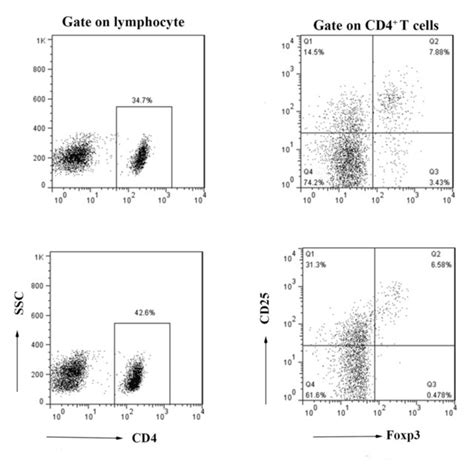 Elevated Proportions Of CD4 CD25 Foxp3 T Cells And CD4CD25Foxp3