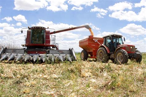 Governo Do Estado Investe Na Geração De Renda No Campo Por Meio Do