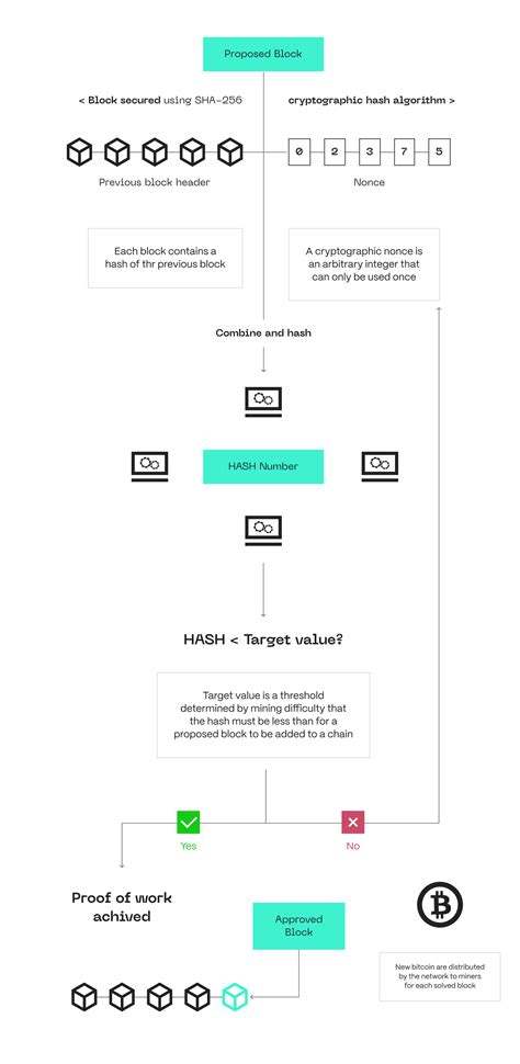 Types Of Consensus Mechanisms In Blockchain Hacken