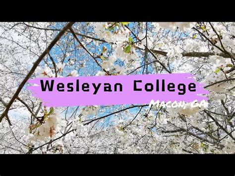 Wesleyan College Cherry Blossom Campus Tour | Macon GA