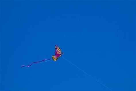 Kite Flying Festival Stock Photos, Images and Backgrounds for Free Download