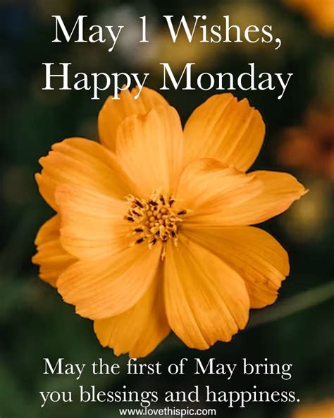 May 1 Wishes, Happy Monday. May The First Of May Bring You Blessings ...