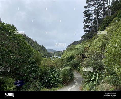 Zealandia , wellington , New Zealand Stock Photo - Alamy