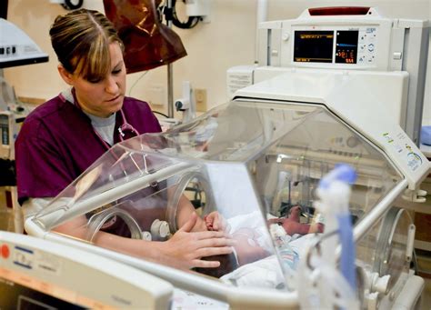 Neonatal Nurse Practitioner Job Description Template