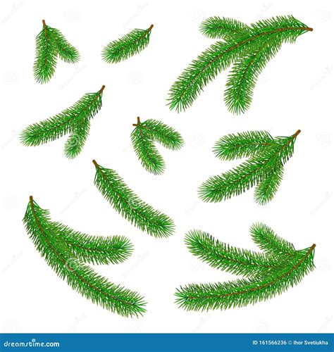 Conifer Cartoons, Illustrations & Vector Stock Images - 53977 Pictures