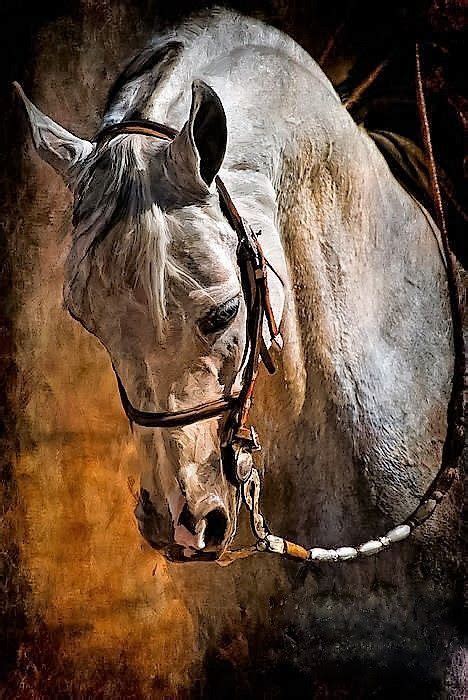 537 Best Horse Art Images On Pinterest Equine Art Horse Art And