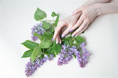 Hermosas Manos Con Una Rama De Lilas En Flor Sobre Un Fondo Claro