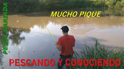 Muchos Bagres Pesca Y Aventura Moncholo Y Carpa Pesca Variada