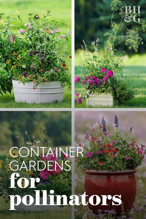 Attract Tons Of Butterflies And Hummingbirds With These Container