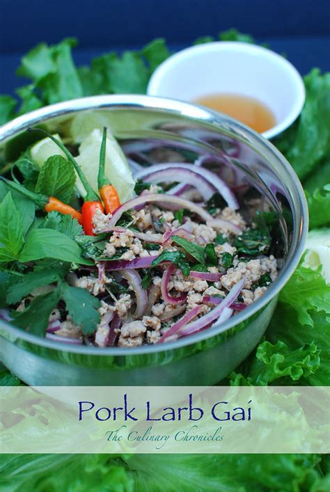 Isaan Pork Larb Gai Thai Minced Pork Salad