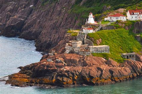 Newfoundland & Labrador | Nature Trek Canada