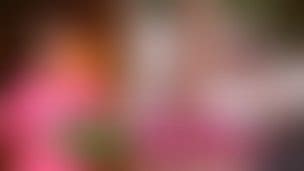 Bodyswap Porn Videos Clips Sale