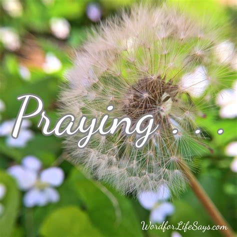 prayer of hope – Word For Life Says…