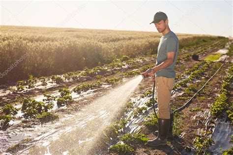 Vista Lateral Al Trabajador Joven Que Riega Los Cultivos En La Plantaci