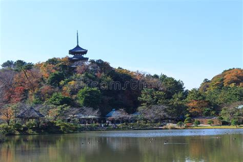 Autumn Foliage in the Sankeien Garden, Yokohama, Kanagawa, Japan Stock ...