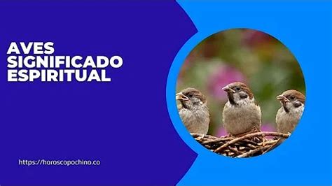 Bandada De Pájaros Significado Espiritual y simbolismo Ame Jumelle