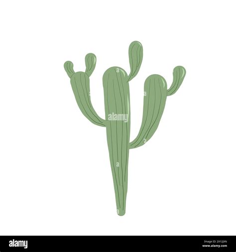 Nopal Mexican Cacti Cactus Isolation On White Background Exotic Plant