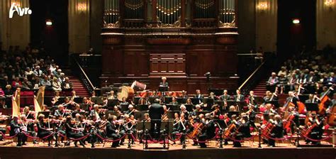 AUDITION | Royal Concertgebouw Orchestra, Amsterdam - 'Tutti Cello' Position [APPLY]