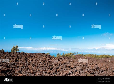 Petrified Lava Flows Of Teide Volcano Roques De Garcia Teide National