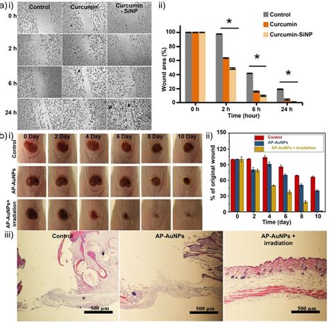 Metal Nanoparticles For Wound Healing A I Inverted Light Microscopy