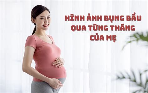 Hình ảnh bụng bầu qua từng tháng của mẹ thay đổi như thế nào