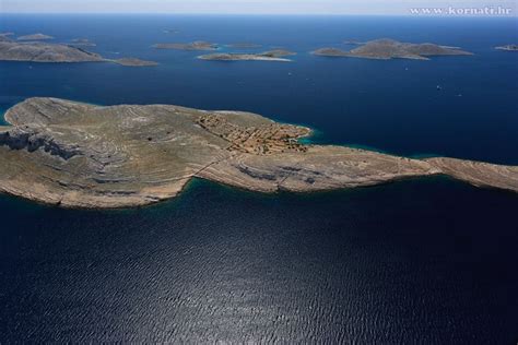 Beautiful Dolphins Playing in Kornati National Park