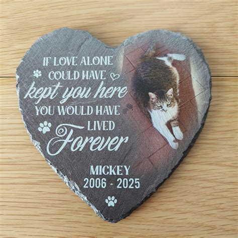 pawfect house reviews 1