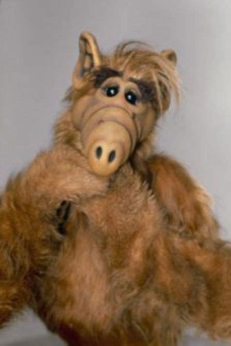 130 Alf Ideas Alf Alien Life Forms 80 Tv Shows