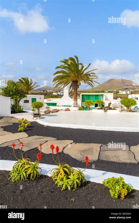 Typical Canarian Style Buildings And Tropical Plants El Campesino