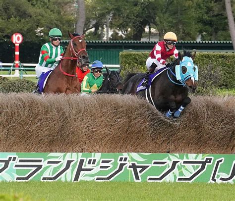 競馬ニュース詳細｜東京サラブレッドクラブ