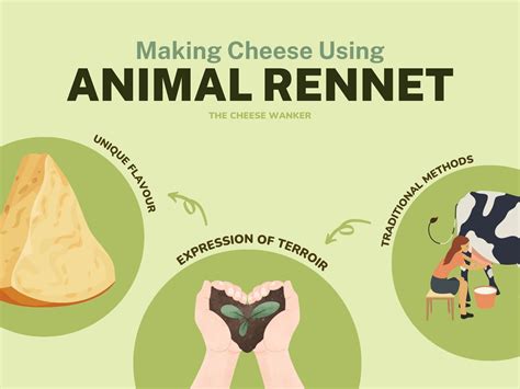 Animal Rennet: Traditional & Terroir Driven Cheesemaking