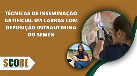 T Cnicas De Insemina O Artificial Em Cabras Deposi O Intrauterina