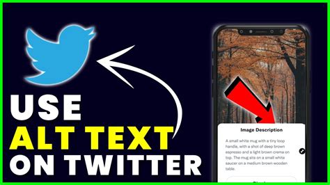 How To Use Add Alt Text Image Description In Your Tweets New Twitter