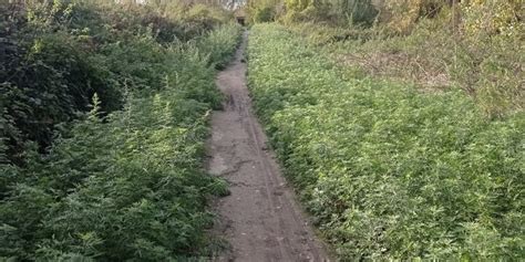 Mugello L Amarezza Di Un Cittadino Riguardo Alla Trascuratezza Della