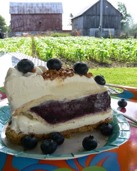 Love Pie Love Cake Piecaken Summertime In The Country Dessert