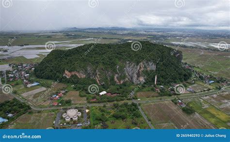 The Paddy Rice Fields Of Kedah Malaysia Stock Image Image Of Field