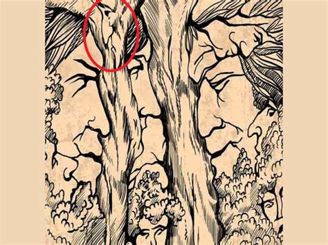 Optical Illusions Faces In Trees