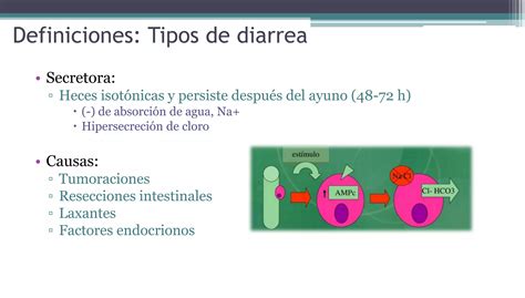 Gastroenteritis Infecciosa Ppt