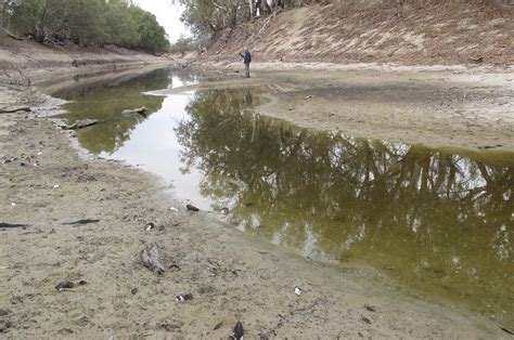 Murray Darling Basin