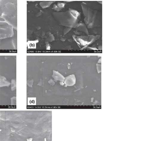 Scanning Electron Micrograph Of Freeze Dried Encapsulated Particles