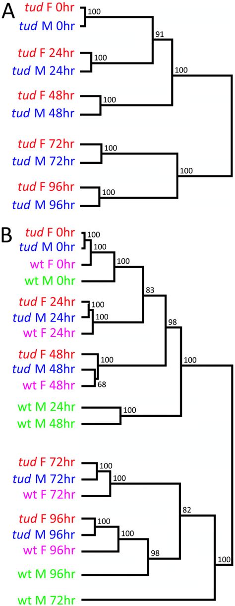 Cluster Of Global Expression Profiles For Drosophila Transcripts Across