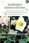 Jardini Re Fleurie D Hiver Et Festive Diy La Plante Qui Pousse