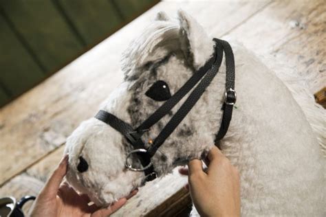 Finnish hobbyhorse phenomenon gains new ground at a gallop ...