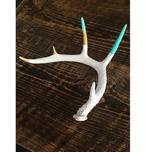 Hand Painted Real Axis Deer Antlers, Jewelry Holder, Rustic | aftcra