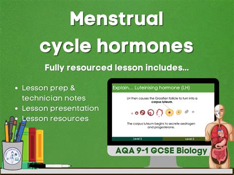 Menstrual cycle hormones | Teaching Resources