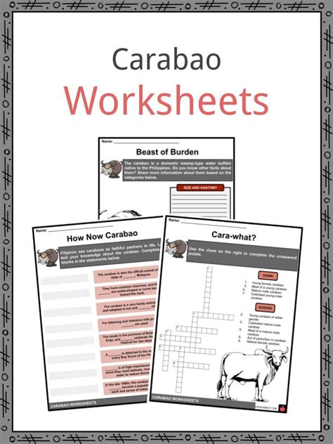 Carabao Facts, Worksheets, Etymology & Characteristics For Kids