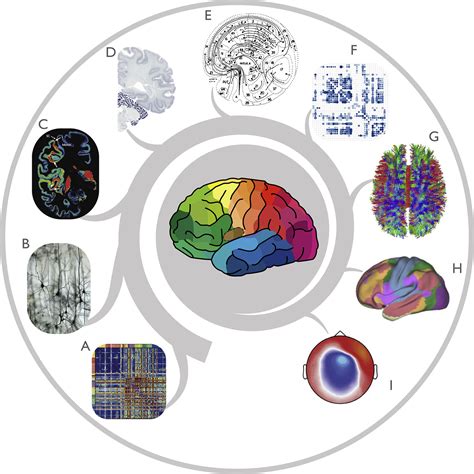 Multimodal Connectomics In Psychiatry Bridging Scales From Micro To