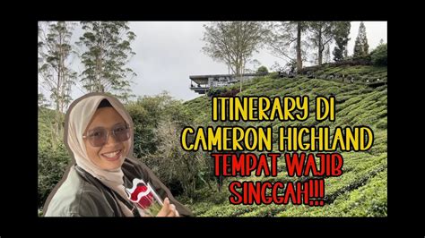 3 Hari 2 Malam Di Cameron Highlands Tempat Yg Wajib Singgah YouTube