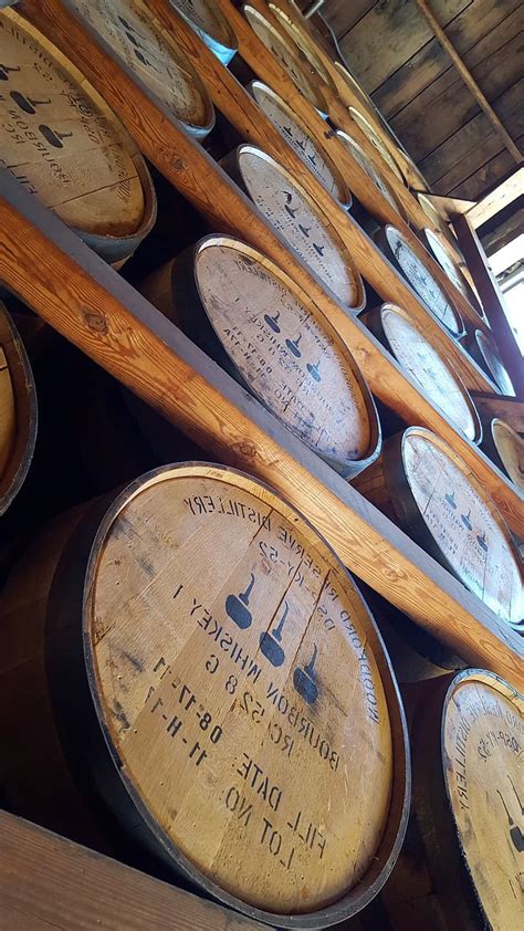 Barrels Kentucky Distillery Bourbon Whiskey Usa America Alcohol